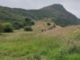 Ein grün bewachsener Berg (Arthur's Seat)